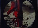 KATE BUSH 1993 The Red Shoes VINYL LP BRAZIL