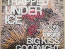 Big Kiss Goodnight * by Trapped Under Ice (Record Release, Oct-2011, Good Fight)