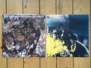 JAMIE T PANIC AND PREVENTION SUPER RARE VINYL LP MINT/PERFECT