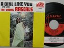 Young RASCALS . . R&R 45 & Picture Sleeve . A Girl Like You / It's Love . EXC