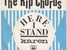 RIP CHORDS Karen GARAGE frat scorcher NORWAY 45 LISTEN b/w 