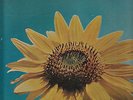 children of one lp original 1969 psych