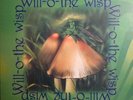 Will-o-the Wisp - Same - 1ST LP VERY RARE PSYCH PROG GREECE  Original Action Rec