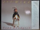 Todd Rundgren / LP / 2nd Wind / Utopia Badfinger 10cc Beatles XTC David Bowie