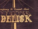 OBELISK PRIVATE PRESS HARD ROCK FUZZ  ACID ARCHIVES LP