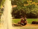 THE FIRST LOVE 