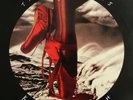 Kate Bush - The Red Shoes Vinyl 1993 -  Very rare first pressing  EMI – EMD 1047