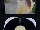MEG BAIRD - Dear Companion 12