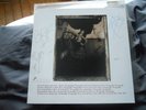 THE PIXIES Surfer Rosa SIGNED lp 1988 Orig 4AD ED1 Frank Black Kim Deal Indie
