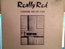 REALLY RED Teaching You The Fear LP VG+/OOP 1st Press 1981 KBD Punk HOLY GRAIL