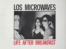 LOS MICROWAVES NO WAVE MINIMAL SYNTH cosmic LP hear