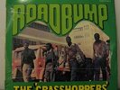 THE GRASSHOPPERS road bump Skyline lp South Africa FUNK orig rare