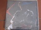 BRUCE SPRINGSTEEN FOR YOU WHO WHEREN'T THERE THAT NIGHT 2 lp set Amsterdam 1975