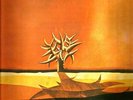 PINK FLOYD - Astronomy Domine - Turkey & Turkish Edition 33 Cm.LP -  LP