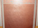 Electro Hippies ,The Peel Sessions Vinyl