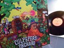 Culper´s Orchard            - Same -     UNGESPIELT