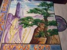 OZRIC TENTACLES : CURIOUS CORN LP 1997 SNAPPER UK