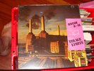 Pink Floyd Animals Colored 