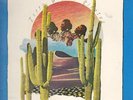 LP:Terry And The Pirates,Wind Dancer[NM] (Rag Baby Records)