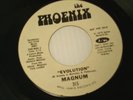 MAGNUM EVOLUTION PHOENIX 315 PROMO FUNK 45 (R)