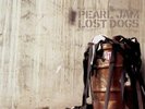 Pearl Jam- Lost Dogs  Vinyl-----RARE