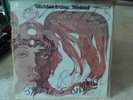 VINTAGE RECORD 33 RPM WELDON IRVINE / SINBAD