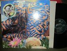 JELLYFISH Bellybutton LP '90 promo SIGNED BY jason falkner in gatefold RARE