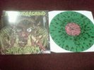 Magrudergrind / Shitstorm LP napalm death despise you weekend nachos spazz 7
