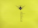 Cocoon Compilation D  6x12