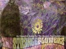 The Strange Flowers - Nasoni