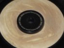 7inch REPRESS LINGER ON - PRINCE BUSTER