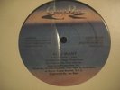 THE ARMED GANG/ALL I WANT/DISCO FUNK/MAXI 33 T/USA PRESS