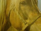 TERVEET KADET The Horse original barabbas  kaaos appendix finnish hc kbd rattus