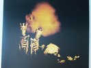 Pearl Jam RIOT ACT *ORIGINAL VINYL*  Record in perfect condition.