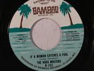 VOICE MASTERS: If A Woman Catches A Fool / You've Hurt Me Baby (rare soul 45)