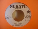 THE BASEMENT WALL Never Existed SENATE PROMO RARE GARAGE