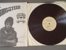 BRUCE SPRINGSTEEN RARE LIVE ROXY DBLE LP GREY BROWN VINYL E STREET BAND