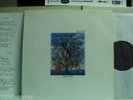TALK TALK Spirit of Eden LP magical pop psychedelic masterpiece OIS rare