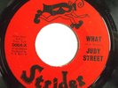 NORTHERN 45-JUDY STREET-WHAT on STRIDER-ORIGINAL /YOU