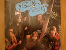 CLEAR LIGHT: Same  Original US/1967  Psych Prog ELEKTRA Gold label