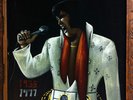Velvet Elvis Picture
