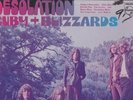 Orig 68 CUBY + BLIZZARDS Desolation LP UK import Psych Blues EX condition