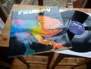 FRUMPY ALL WILL BE CHANGED 1970 PLASTIC SLEEVE