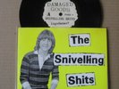 THE SNIVELLING SHITS Isgodaman ? / Terminal Stupid 7