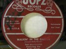 VOCAL GROUP ROCKER BELVEDERES WALKIN' IN THE GARDEN 1959 JOPZ 1771 BUONA SERA