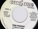 DELROY WILSON with WAILERS backup - I WANT JUSTICE b/w Coxsone Dodd sings?  ??