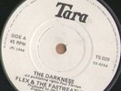 RARE IRISH INDIE POP ROCK 7