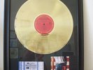 Gouden Plaat Bruce Springsteen - Born in the Usa  va 1 euro bieden THE BOSS