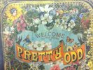 Panic At The Disco Pretty Odd Box Set