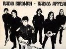 RADIO BIRDMAN RADIOS APPEAR U.S. PROMO NEAR MINT